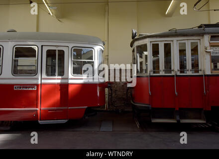 Vienna, Austria. Undicesimo Sep, 2019. I tram sono visualizzate in Remise-Transport Museo di linee di Vienna a Vienna il 7 settembre 11, 2019. Creato nel 2014, il Museo Remise-Transport di linee di Vienna mostra storica e moderna i tram e gli altri veicoli e offre ai visitatori un viaggio attraverso 150 anni di trasporto pubblico nella storia con linee di Vienna. Credito: Guo Chen/Xinhua/Alamy Live News Foto Stock