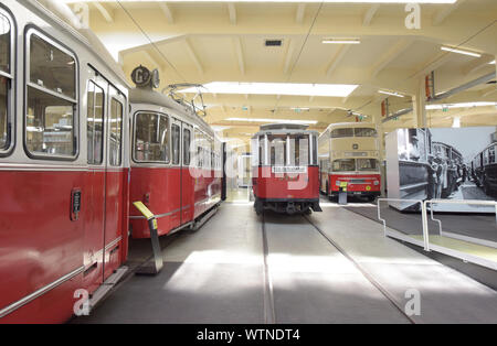 Vienna, Austria. Undicesimo Sep, 2019. I tram sono visualizzate in Remise-Transport Museo di linee di Vienna a Vienna il 7 settembre 11, 2019. Creato nel 2014, il Museo Remise-Transport di linee di Vienna mostra storica e moderna i tram e gli altri veicoli e offre ai visitatori un viaggio attraverso 150 anni di trasporto pubblico nella storia con linee di Vienna. Credito: Guo Chen/Xinhua/Alamy Live News Foto Stock