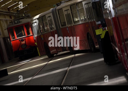 Vienna, Austria. Undicesimo Sep, 2019. I tram sono visualizzate in Remise-Transport Museo di linee di Vienna a Vienna il 7 settembre 11, 2019. Creato nel 2014, il Museo Remise-Transport di linee di Vienna mostra storica e moderna i tram e gli altri veicoli e offre ai visitatori un viaggio attraverso 150 anni di trasporto pubblico nella storia con linee di Vienna. Credito: Guo Chen/Xinhua/Alamy Live News Foto Stock