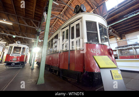 Vienna, Austria. Undicesimo Sep, 2019. I tram sono visualizzate in Remise-Transport Museo di linee di Vienna a Vienna il 7 settembre 11, 2019. Creato nel 2014, il Museo Remise-Transport di linee di Vienna mostra storica e moderna i tram e gli altri veicoli e offre ai visitatori un viaggio attraverso 150 anni di trasporto pubblico nella storia con linee di Vienna. Credito: Guo Chen/Xinhua/Alamy Live News Foto Stock