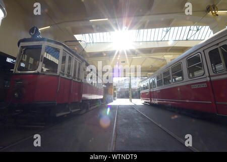 Vienna, Austria. Undicesimo Sep, 2019. I tram sono visualizzate in Remise-Transport Museo di linee di Vienna a Vienna il 7 settembre 11, 2019. Creato nel 2014, il Museo Remise-Transport di linee di Vienna mostra storica e moderna i tram e gli altri veicoli e offre ai visitatori un viaggio attraverso 150 anni di trasporto pubblico nella storia con linee di Vienna. Credito: Guo Chen/Xinhua/Alamy Live News Foto Stock