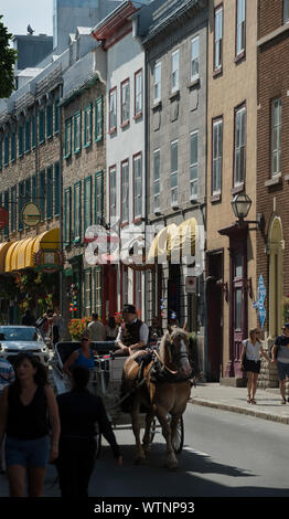 Carro trainato da cavalli su Rue Saint Louis. Rue Saint Louis nella Vecchia Quebec City, in Canada. Foto Stock