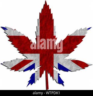 Impianto di erbaccia in i colori della bandiera del Regno Unito, England, Regno Unito Foto Stock