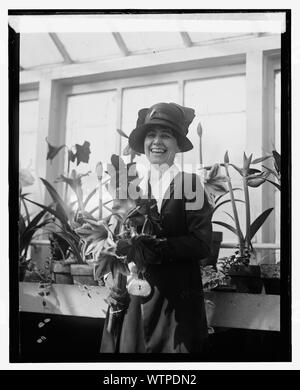 La sig.ra Coolidge, Amaryllis mostrano, 1924, 3/15/24 Foto Stock
