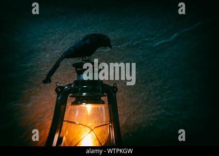 Crow seduto su di una vecchia lanterna si illumina di notte e lo sfondo scuro con filtri di sfocatura , il fuoco selettivo Foto Stock