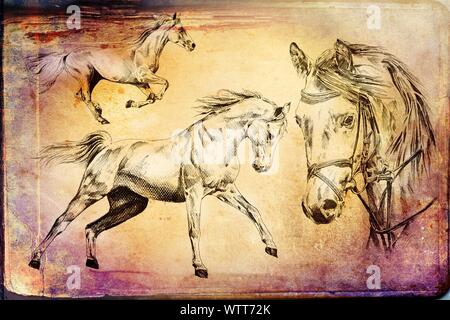 Freehand testa di cavallo arte illustrazione Foto Stock