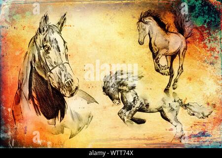 Freehand testa di cavallo arte illustrazione Foto Stock