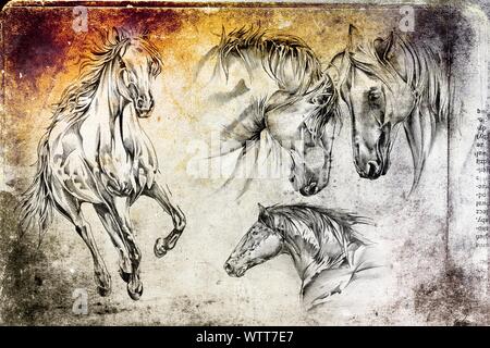 Freehand testa di cavallo arte illustrazione Foto Stock