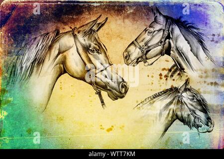 Freehand testa di cavallo arte illustrazione Foto Stock