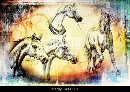 Freehand testa di cavallo arte illustrazione Foto Stock