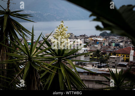 Affacciato su San Pedro La Laguna, Guatemala sul lago Atitlan Foto Stock