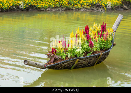 Celosia argentea L. cv. Plumosa fiore in barca è fatto da bambù sull'acqua. Foto Stock