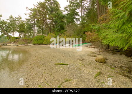 Barche immagazzinate a Chamvation Bay a Trincomali, North Pender Island, British Columbia, Canada Foto Stock