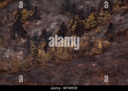 Terra dopo l incendio di foresta, Gran Canaria Foto Stock