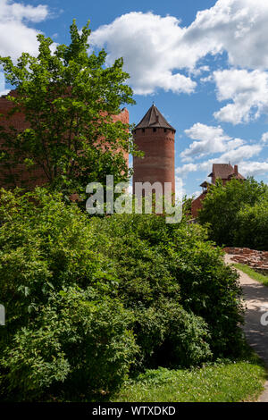 Castello di Turaida Foto Stock