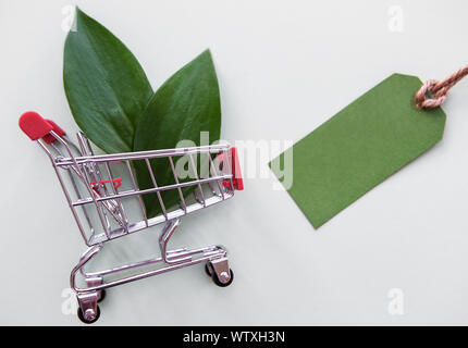 Piccolo carrello con foglie di colore verde e bianco cartellino del prezzo su sfondo color pastello. Foto Stock