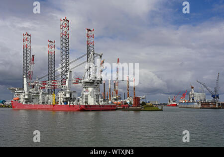 Porto di Rotterdam, Paesi Bassi - 2019.09.08: il jack up per centrali eoliche offshore Nave di installazione seajacks Scilla (imo# 9698939) ormeggiato a damen shipya Foto Stock