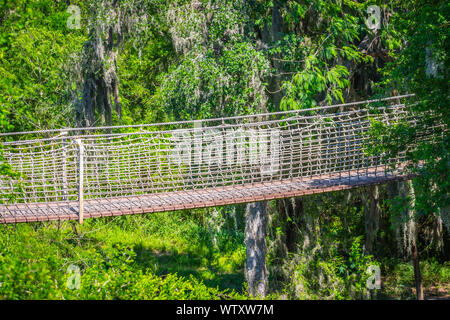 Un lungo baldacchino a piedi in Santa Ana NWR, Texas Foto Stock