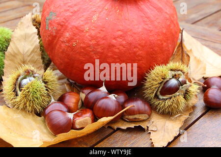 Le castagne, sansa, la zucca e le foglie morte dopo il raccolto durante l'autunno Foto Stock