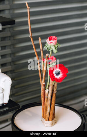 Bellissimo fiore rosso di anemone all'interno. bouquet di anemone rossa close up. Anemone fiore fiori in primavera.Vista dall'alto di rosso Anemone a fiori Foto Stock