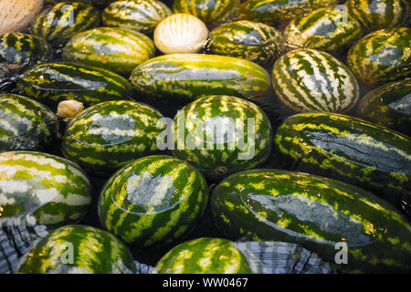 Fetta di anguria.Molti grandi dolci verdi cocomeri in acqua Foto Stock