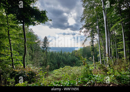 Bella vista panoramica al di fuori di un verde bosco in un moody tarda estate del paesaggio in Franconia, Germania Foto Stock