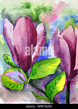 Due acquerello disegnati a mano fiori di magnolia con fiori di colore rosa e foglie verdi Foto Stock