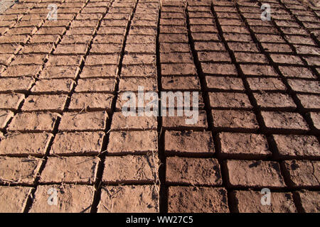 Mattoni di adobe di essiccazione al sole per la costruzione a Ouarzazate formando un modello Foto Stock