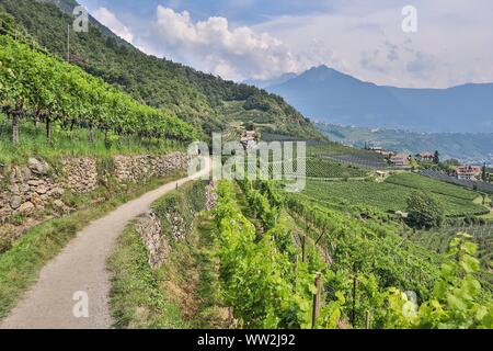 Merano e dintorni, Italien. Il 29 agosto, 2019. Merano, Italia 2019: impressioni di Merano e dintorni - Agosto - 2019 Algunder Waalweg, al di sopra di Lagundo | Utilizzo di credito in tutto il mondo: dpa/Alamy Live News Foto Stock