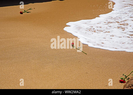 Rose rosse giacciono sulla sabbia di fronte alla marea al punto Corbiere, Saint Brélade parrocchia, Jersey, Isole del Canale Foto Stock