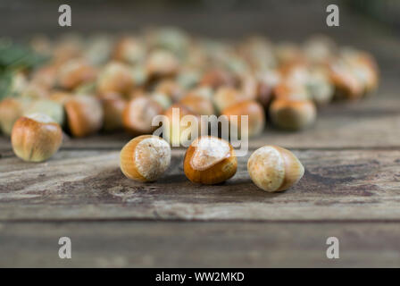 Le nocciole su un tavolo di legno, fuoco selettivo. Foto Stock