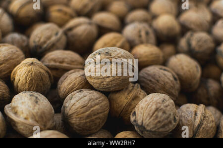 Le noci fresche in guscio. Messa a fuoco selettiva Foto Stock