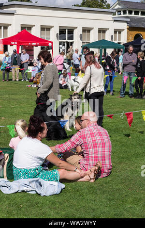 La folla ad un locale Dog Show in un assolato pomeriggio d'estate; Delapre Abbey, Northampton, Regno Unito Foto Stock