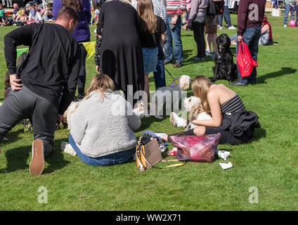 La folla ad un locale Dog Show in un assolato pomeriggio d'estate; Delapre Abbey, Northampton, Regno Unito Foto Stock