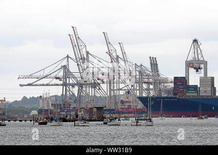 Southampton, Inghilterra, Regno Unito. Settembre 2019. Il DP World nave container depot in Southampton Docks. Foto Stock