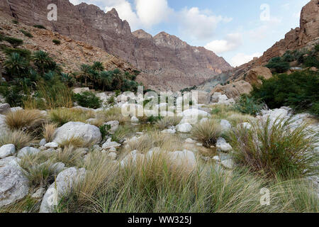 Piscina naturale di Wadi Tiwi, Oman Foto Stock