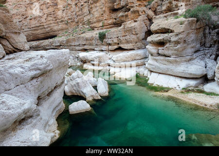 Laghetto di Wadi Fusc, Oman, Medio Oriente Foto Stock