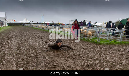 Kendal, Cumbria, Regno Unito. Xii Sep 2019. Le condizioni meteo didnt smorzare gli spiriti di tutti l'Westmorland County show, Kendal Cumbria, come questo fanciullo ha dimostrato, godendo di una diapositiva di fango. Non è certo che i suoi genitori ci è piaciuto tanto quanto ha fatto! Credito: Wayne HUTCHINSON/Alamy Live News Foto Stock