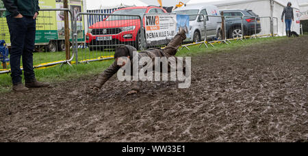 Kendal, Cumbria, Regno Unito. Xii Sep 2019. Le condizioni meteo didnt smorzare gli spiriti di tutti l'Westmorland County show, Kendal Cumbria, come questo fanciullo ha dimostrato, godendo di una diapositiva di fango. Non è certo che i suoi genitori ci è piaciuto tanto quanto ha fatto! Credito: Wayne HUTCHINSON/Alamy Live News Foto Stock