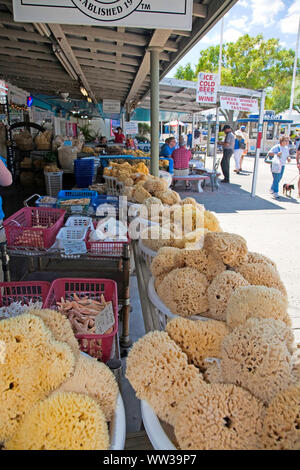 Tarpon Springs, in Florida Seaport, USA, greco tradizionale industria in spugna Foto Stock