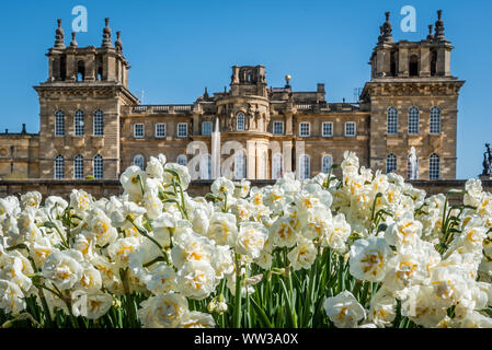 Primavera presso il Palazzo di Blenheim, Woodstock, Oxon, Regno Unito. Foto Stock