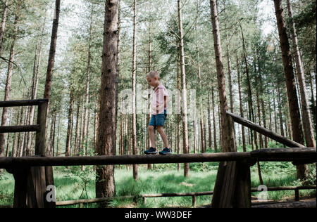 Giovane ragazzo giocando, passeggiate attraverso un registro di alta nella foresta al di fuori Foto Stock