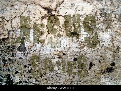 Gesù vive Gesù salva e il pesce icthus il segno per i credenti Foto Stock