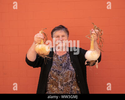 Vecchia donna mostra il suo cresciuto in casa le cipolle, Galizia, Spagna Foto Stock