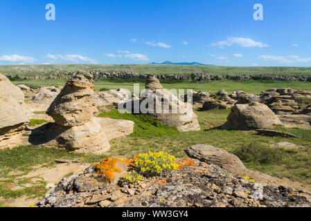 Hoodoos, la scrittura su pietra Parco Provinciale, Alberta, Canada Foto Stock