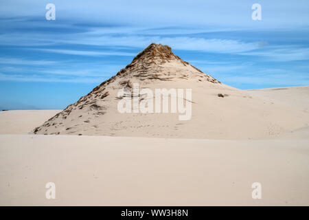 Dune in movimento nel Parco Nazionale di Slowinski, Polonia Foto Stock