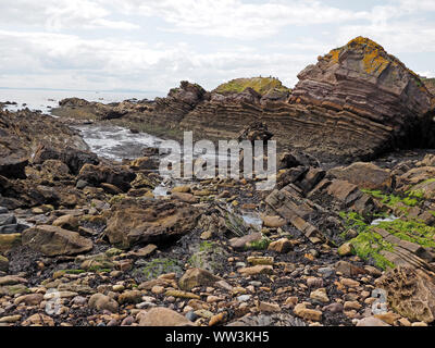 Drammatica esposto le formazioni rocciose costiere sulla sponda nord del Firth of Forth a bassa marea vicino al villaggio di pescatori di Anstruther, East Neuk,Fife, Scozia, Regno Unito Foto Stock