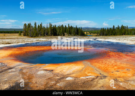 Vapore sorge il Grand Prismatic Spring nel Parco Nazionale di Yellowstone. È il più grande primavera calda al Parco Nazionale di Yellowstone con 200-330 piedi Foto Stock