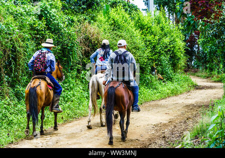 Vista su persone facendo trekking a cavallo in Colombia Foto Stock