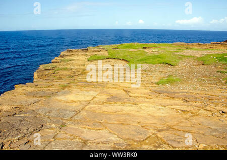 Yesnaby scogliere spettacolari vecchio rosso scogliere di arenaria sull'Atlantico occidentale della costa di Orkney continentale Scozia Scotland Foto Stock